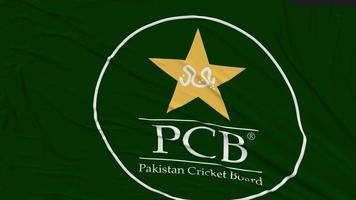 Pakistan cricket asse, pcb bandiera stoffa rimozione a partire dal schermo, introduzione, 3d rendering, croma chiave, luma Opaco video