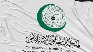 Organisation of Islamic Cooperation, OIC Flag Cloth Removing From Screen, Intro, 3D Rendering, Chroma Key, Luma Matte video