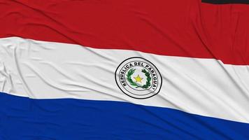 Paraguay Flag Cloth Removing From Screen, Intro, 3D Rendering, Chroma Key, Luma Matte video