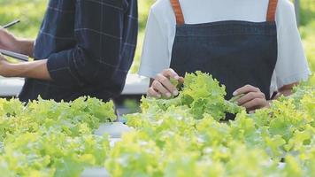 Asian woman and man farmer working together in organic hydroponic salad vegetable farm. using tablet inspect quality of lettuce in greenhouse garden. Smart farming video