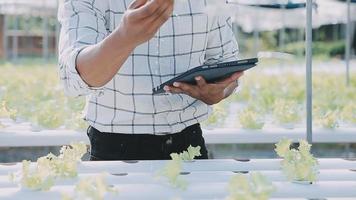 asiático Omán granjero mirando orgánico vegetales y participación tableta, ordenador portátil para comprobación pedidos o calidad granja en Mañana ligero video