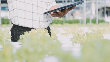 asiatico Oman contadino guardare biologico verdure e Tenere tavoletta, il computer portatile per controllo ordini o qualità azienda agricola nel mattina leggero video