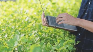 Aziatisch vrouw en Mens boer werken samen in biologisch hydrocultuur salade groente boerderij. gebruik makend van tablet inspecteren kwaliteit van sla in kas tuin. slim landbouw video