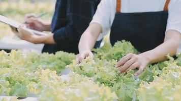 asiatico Oman contadino guardare biologico verdure e Tenere tavoletta, il computer portatile per controllo ordini o qualità azienda agricola nel mattina leggero video