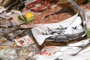 pescado fresco en el mercado foto