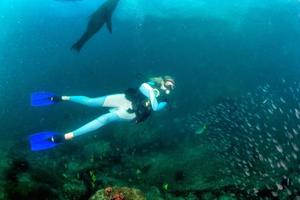 beautiful blonde girl playing with sea lion underwater photo