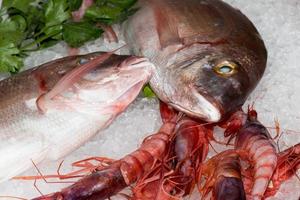 fresh fish at the market photo