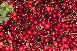 red cherries Fruit and Vegetable on sale at Market photo