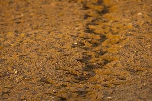 Natural soil ground brown background photo