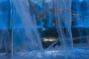 grass inside ice blocks wall photo