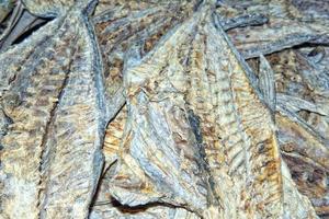 stockfish 886006 Stock Photo at Vecteezy