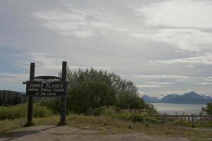 Homer Alaska Halibut fishing capital in the world photo