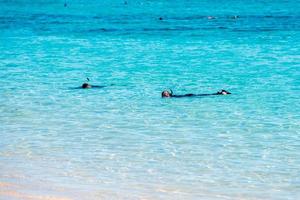 Buceo con esnórquel en la Bahía Turquesa de Ningaloo, Australia Occidental foto