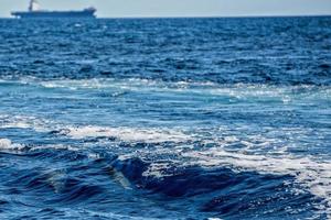 Dolphins while jumping in the deep blue sea photo