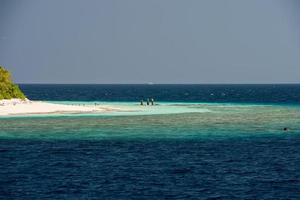 maldives tropical paradise beach landscape photo