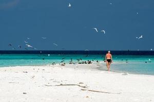 maldives white sand paradise beach landscape view photo