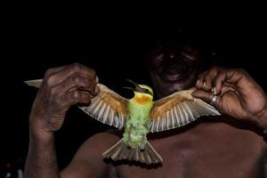 A bee eater bird from africa holded by a black man in the night photo