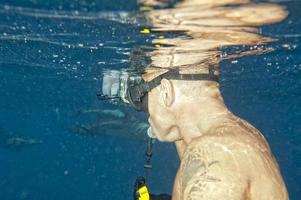 Dolphins while swimming underwater photo