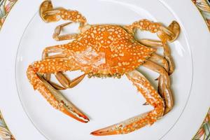 Top view of Blue swimming crab steamed put on white ceramic plate., Steamed crab is one of the most popular tourist attraction when traveling to Thailand. photo