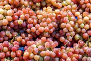 de cerca y cosecha rojo uvas para rebaja en el supermercado. foto