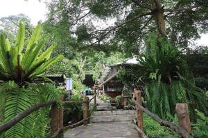 Kudus, December 2022. Street alleys surrounded by cool plants and trees decorate the Keboen Iboe restaurant. photo