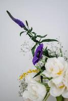 White and Purple Flowers on White Background photo