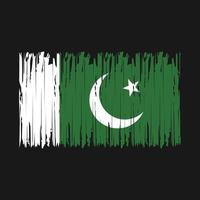 cepillo de bandera de pakistán vector