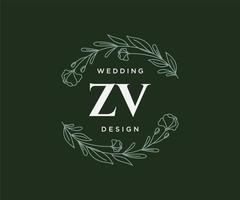 colección de logotipos de monograma de boda con letras iniciales zv, plantillas florales y minimalistas modernas dibujadas a mano para tarjetas de invitación, guardar la fecha, identidad elegante para restaurante, boutique, café en vector