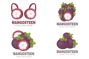 diseño del logotipo de mangostán, vector de fruta fresca para la salud de la piel, ilustración de la marca de la tienda de frutas y medicina natural de la piel