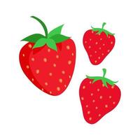 Strawberry fruit vector. Cartoon bright natural strawberrys isolated on white. Vector illustration of fresh farm organic berry used for magazine, book, poster, menu cover, web pages.