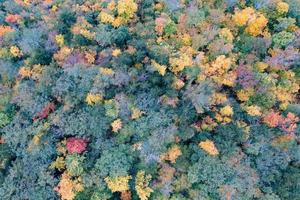 Peak foilage on the summit of Prospect Mountain in Lake George, New York. photo