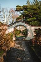 puerta de la luna en un chino jardín foto