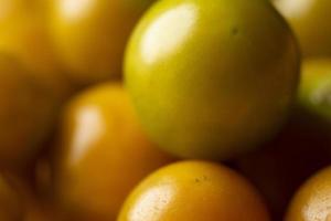 Close-up of cape gooseberry fruit in its casing, growing in Egypt photo