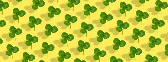 Clover leaf pattern on colored background. Abstract banner background for St. Patrick's Day photo