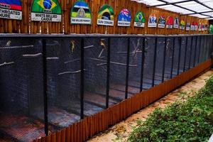 Batu-Indonesia, January 2, 2023. Selective focus of cages of different types of birds. photo