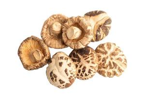 seco shiitake seta aislado en blanco antecedentes con recorte camino, sano alimento. foto