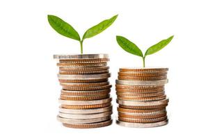 Tree leaf on save money coins, Business finance saving banking investment concept. photo