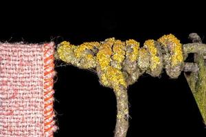 old used dirty rug on moss covered rope in black background photo