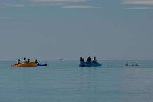 dolphins near the shore get in touch with humans photo