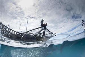 tiburón ballena bajo la plataforma de los pescadores en papua foto