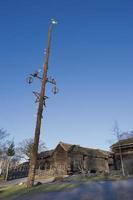 skansen stockholm pole photo