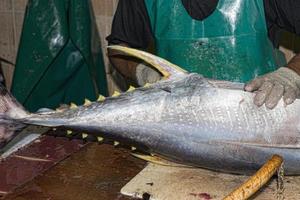 masculino India pescado mercado foto