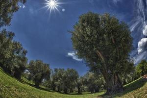 Villa adriana ancient roman ruins of emperor palace photo