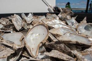 pearl factory on the sea photo