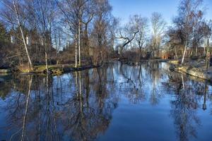 skansen stockholm lake photo