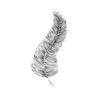 Hand-drawn black isolated feather like a leaf on white background vector