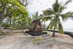 hawaiian hut on the beach photo