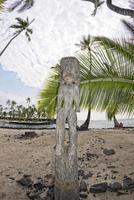 Hawai tiki de madera estatua foto