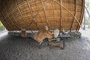 hawaiian hut on the beach photo