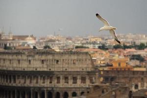 rome colosseum arches cityscape panorama photo